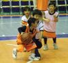 2006_11120113
